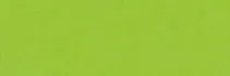 Brystol Happy Color A3 170g, 25 ark., jasnozielony