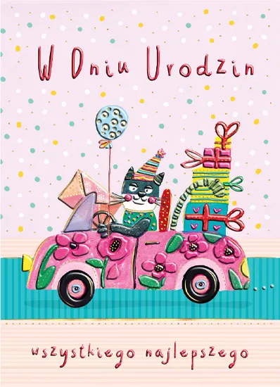 Karnet B6 Kot w aucie, kartka okolicznościowa, Henry