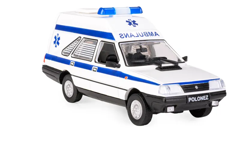 Miniatura 3