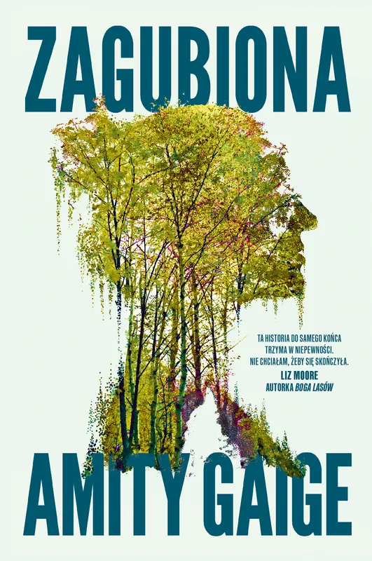 Zagubiona, Amity Gaige